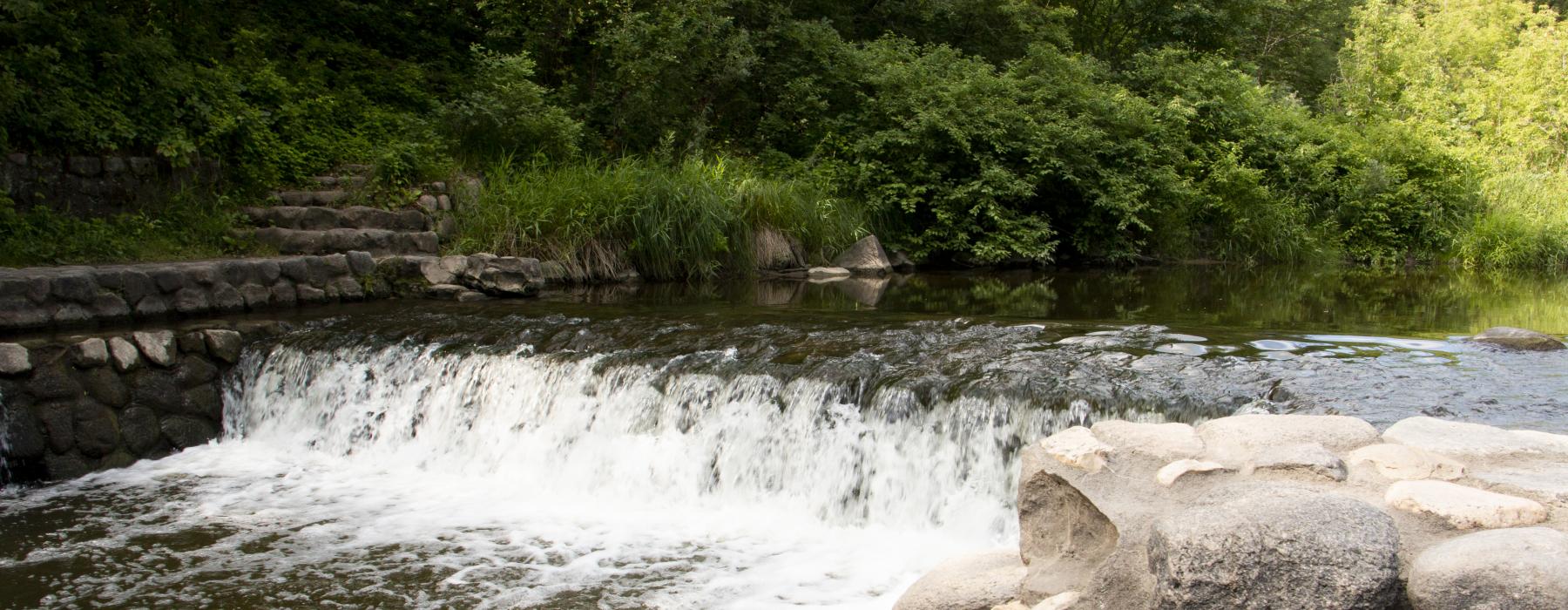 Turtle River State Park: Your North Dakota Oasis Awaits!